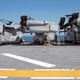 Illustration for article titled Think An Osprey Is A Transformer In The Air? Check It Out On The Ground!